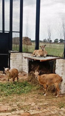 20170901_164314.jpg