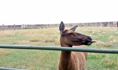 20170901_165348.jpg