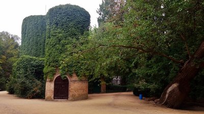 20170901_172552.jpg