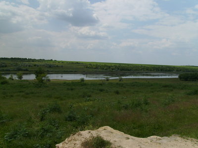 PICT0239.JPG